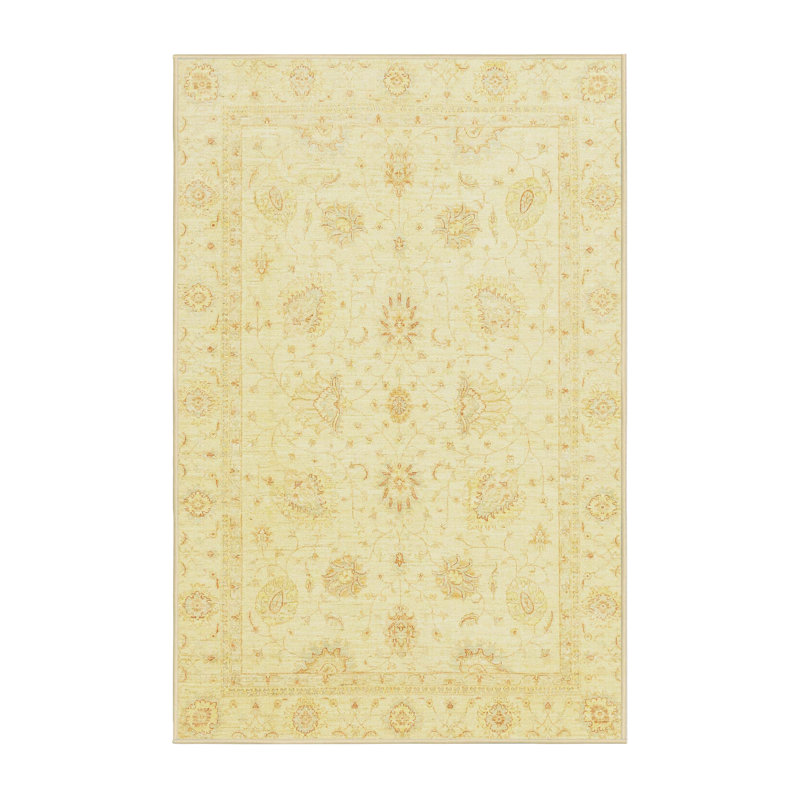 Oriental Indoor Rug, Rectangle 4' x 6'