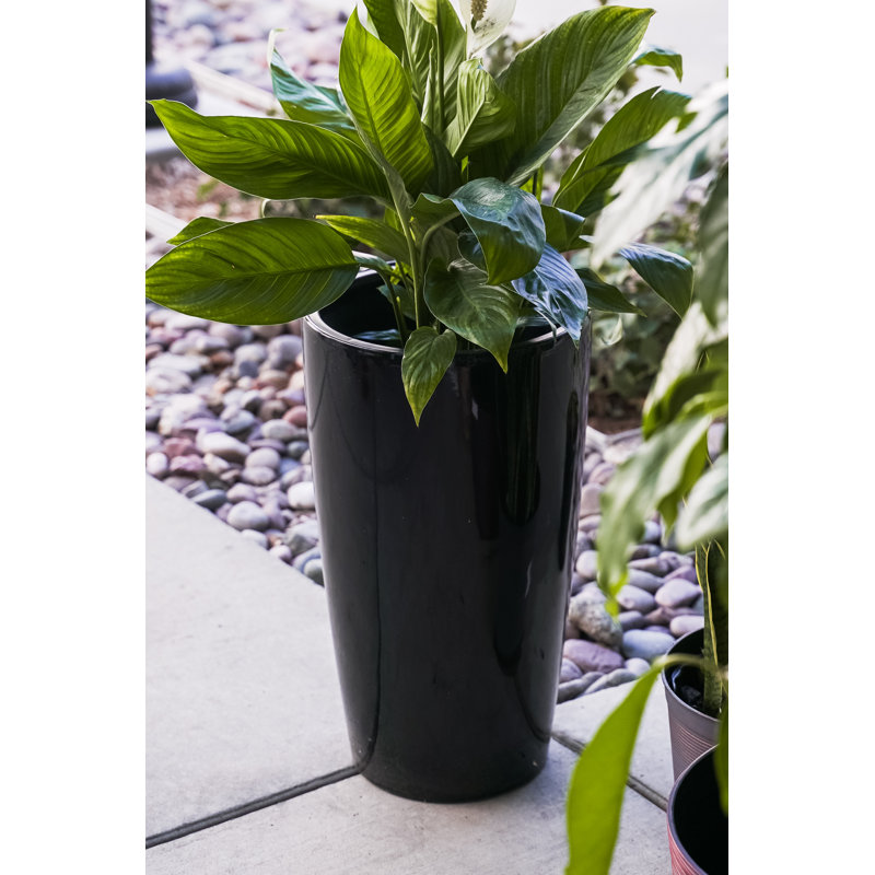 Pot Planter, Black
