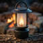 Renard flamme-120295459