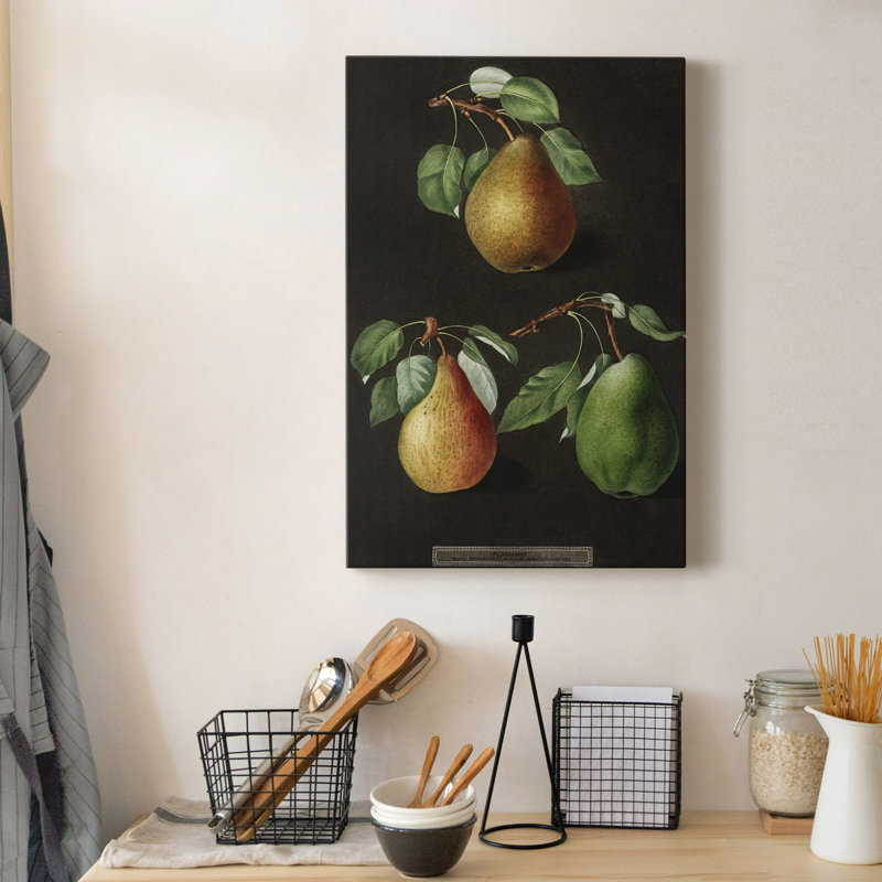 " Pear (Pyrus) ", 36" H x 24" W x 1" D
