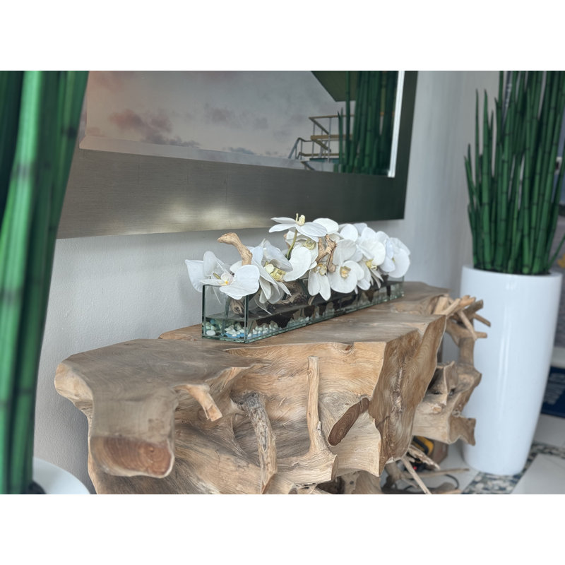 Arrangement floral orchidées dans un pot, Blanc, H 8 po x l 36 po x P 6 po