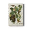 Pl 12 Baltimore Oriole - impression sur toile tendue-191985136