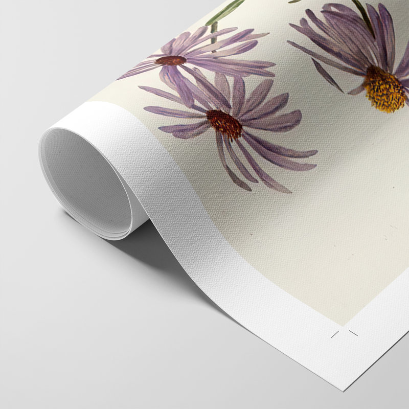 Mauve Garden Flowers III - reproduction de toile seulement - non encadrée, H 60 po x l 40 po