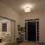 Eisen 3-Light 38.1cm Semi Flush Mount