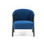 Nico Occasional Chair-2126768465