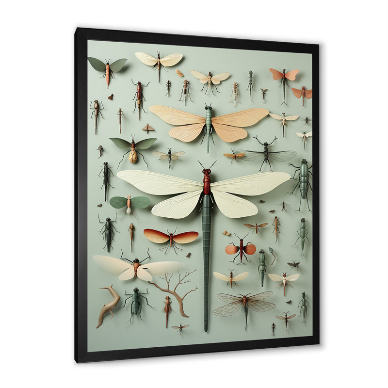 «Curious Dragonflies 1 - Insectes & Bugs», art mural, Cadre simple noir, H 40 po x l 30 po x P 1,5 po
