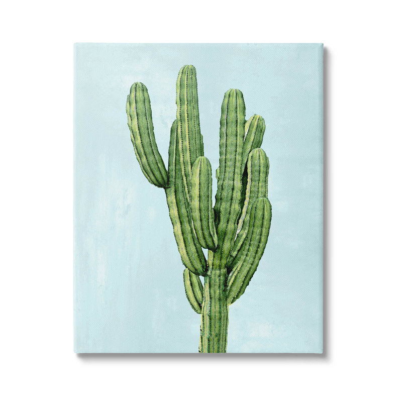 «Desert Cactus Blue Sky» par Mia Jensen, L 30 po x H 40 po