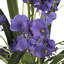 Arrangement floral vase danse Charlton