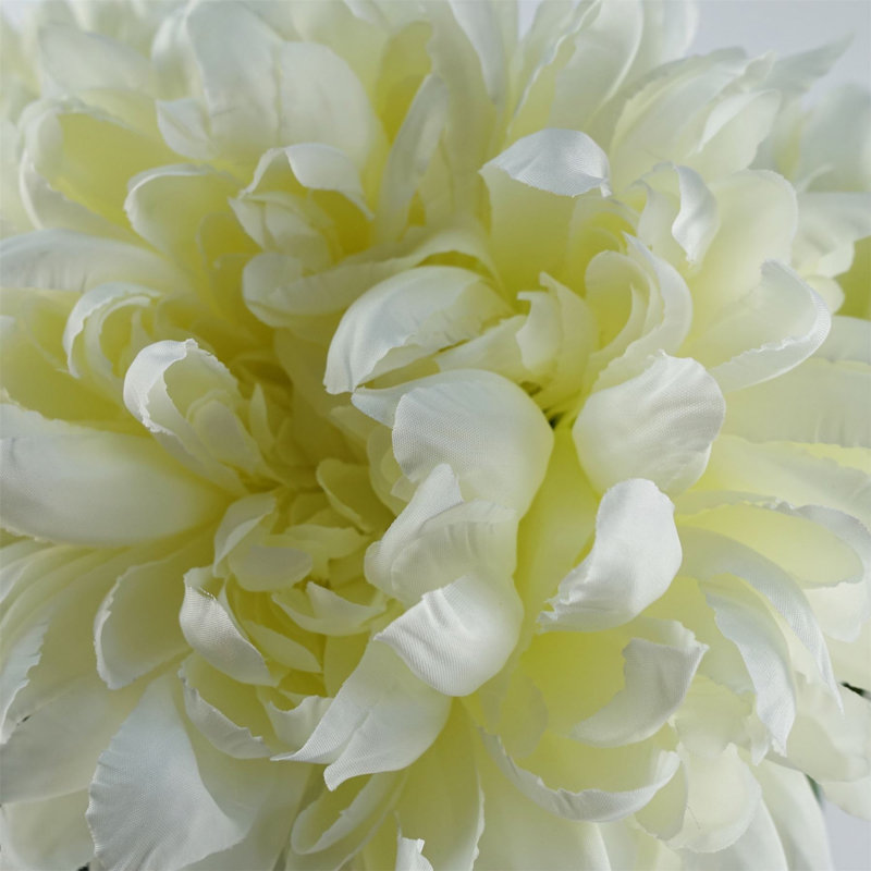 Pack of 6 x 75cm Reflex Chrysanthemum (Set of 6), White