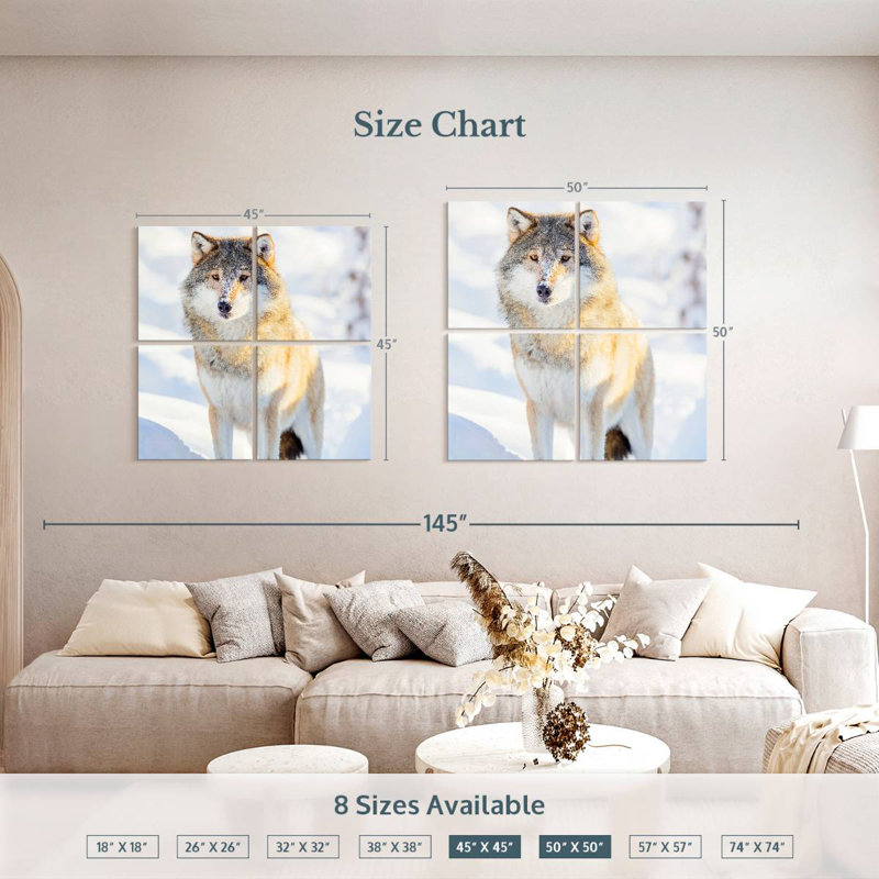 Brampt Winter Gray Wolf