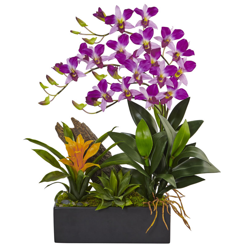 Arrangement floral mixte en pot, Mauve