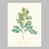 Couche de verre