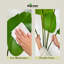 Pot à fleurs décoratif en faux palmier blanc 55 "Algreen
