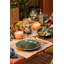 Mikasa Jardin Stoneware Dinner Plates, 27cm, Green