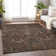 Chayil Machine Washable Indoor/Outdoor Rug