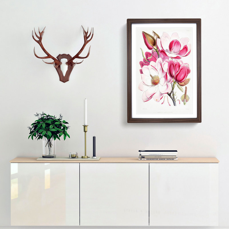 Himalayan Magnolia Flowers by W. H. Fitch - Picture Frame Painting Print, Walnut Framed, 36cm H x 27cm W x 2cm D