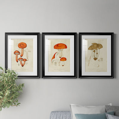 «Mushroom Variétés IV», reproduction encadrée de qualité supérieure - prête à être accrochée