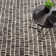 Roark Charcoal Hand Tufted Wool Rug