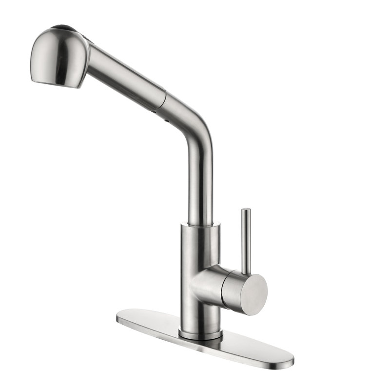 Robinet de cuisine brossé à poignée simple, Nickel brossé