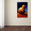 Kucera «Pear III», reproduction sur toile tendue-22073004
