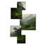 Ensemble d'art mural carré Jungle Plants Whispers 3 - Jungle Square