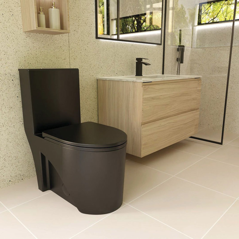 Toilette monobloc siphonique DAX avec siphon 300 mm, noir mat