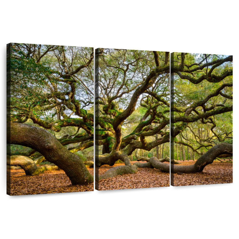 Harnek Extensive Oak Tree, 48" H x 74" W