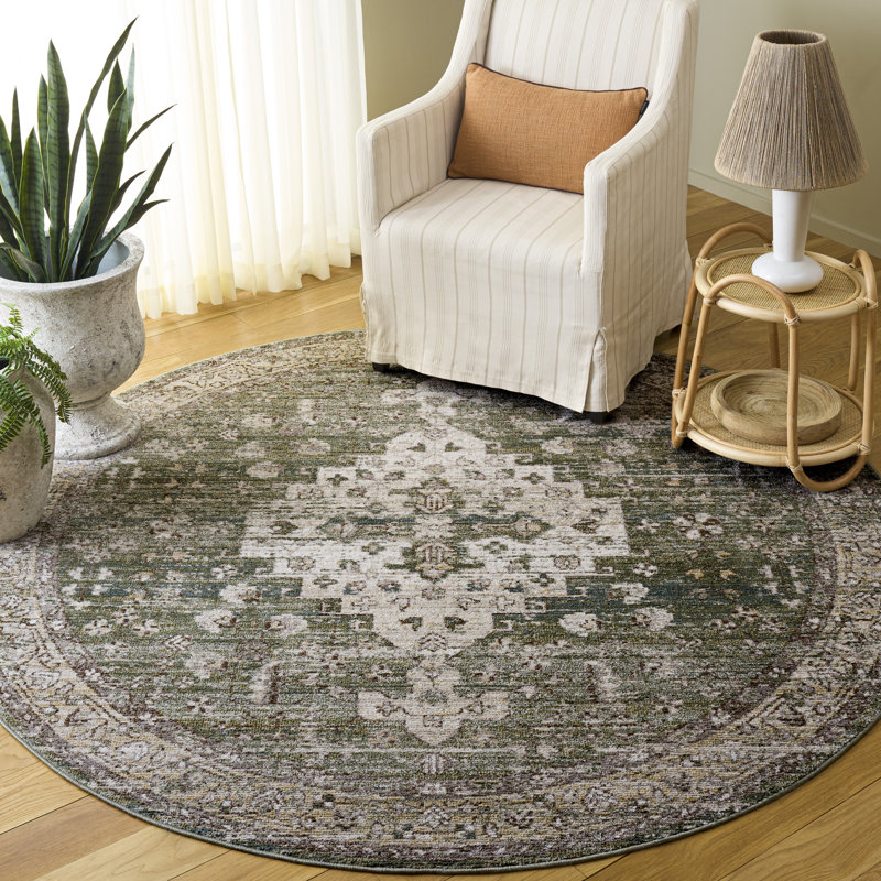Hazel 518 Performance Oriental Rug, Round 6'