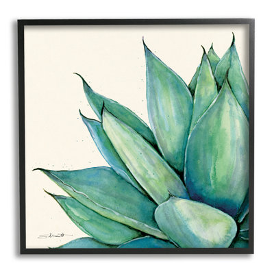Stupell Industries Green Aloe Plant Succulent By Stephanie Workman Marrott - Floater Frame Graphic Art On Wood In Midnight Black Framed Giclee