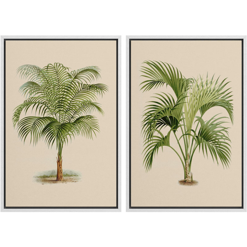 Vert tropical, palmier, illustrations, art moderne, décor botanique minimaliste, H 36 po x l 48 po, Blanc