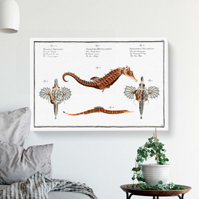 Seahorse And Sea Dragon by M.E. Bloch - Wrapped Canvas
