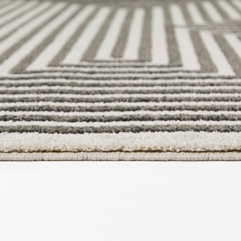 Tapis gris anthracite moderne Teodozia, 7 pi 10 po x 10 pi
