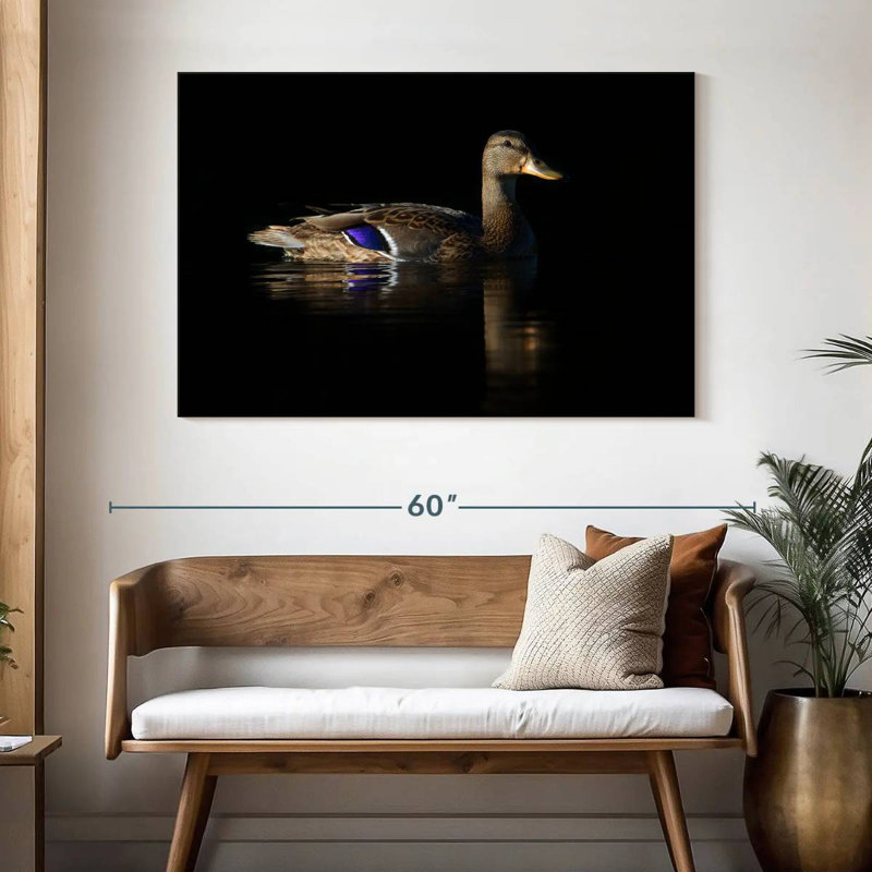 Canard colvert Brampt, H 32 po x l 48 po