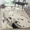 Jefferson Hand Tufted Wool Rug