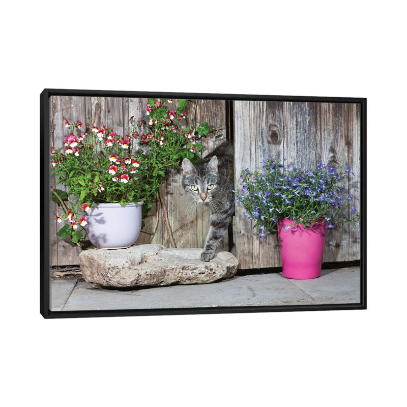 Reproduction de photo sur toile, H 18 po x l 26 po x P 1,5 po, Toile avec cadre noir, Pas de tapis
