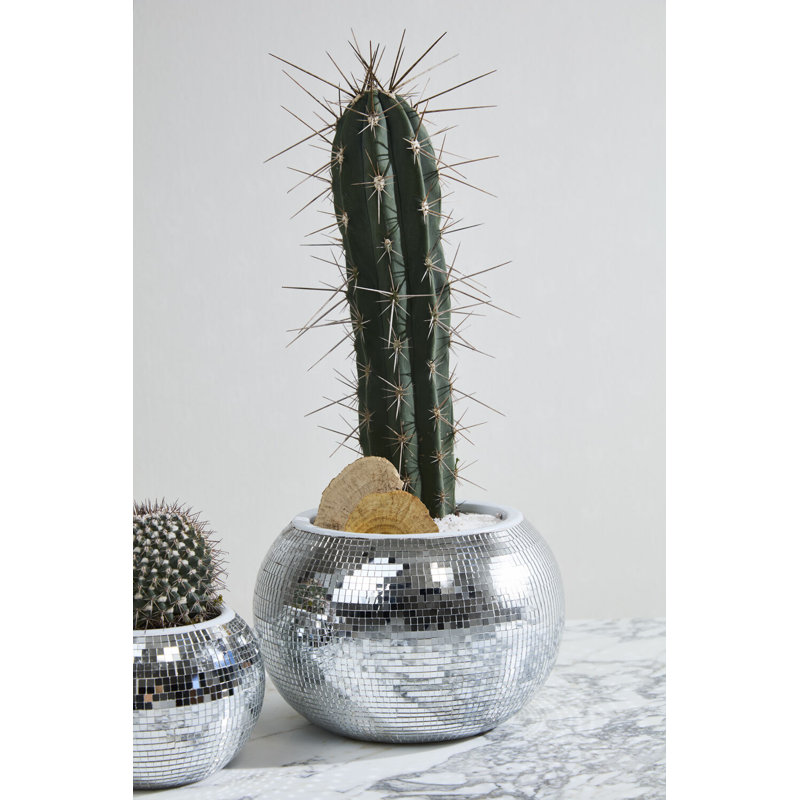 Braeden Disco Pot, 10"x 6.75"