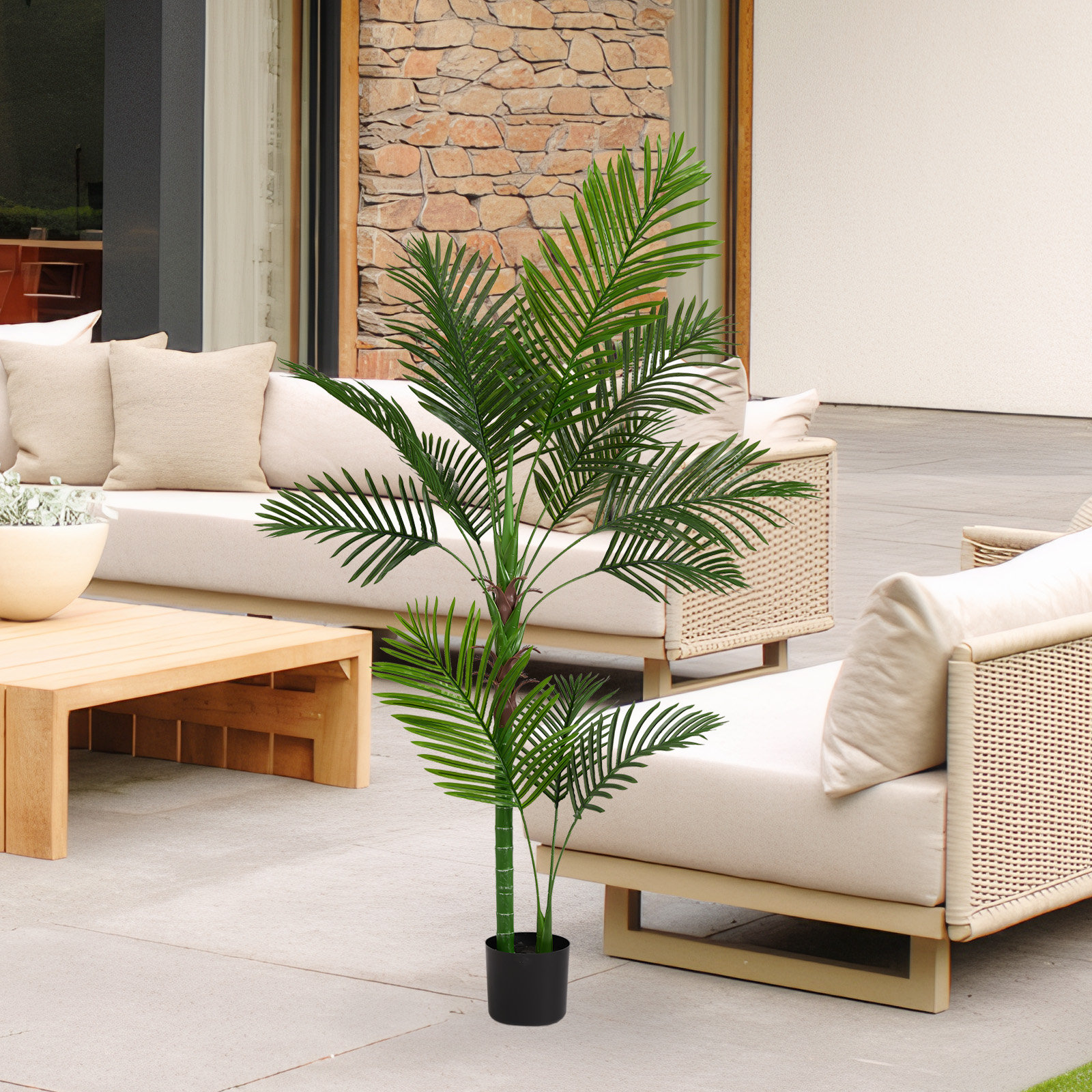 63" Palm Tree in Pot
