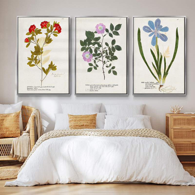 Nature imprimé Botanicals V - ensemble de 3 reproductions sur toile, Argent, H 36 po x l 72 po