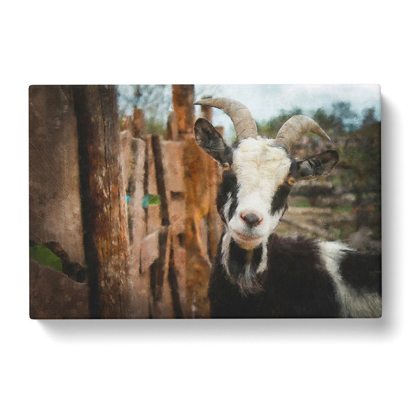 Goat Vol.1 - Wrapped Canvas Painting, 50cm H x 76cm W x 3cm D