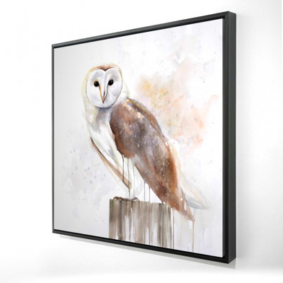 «Barn Owl»