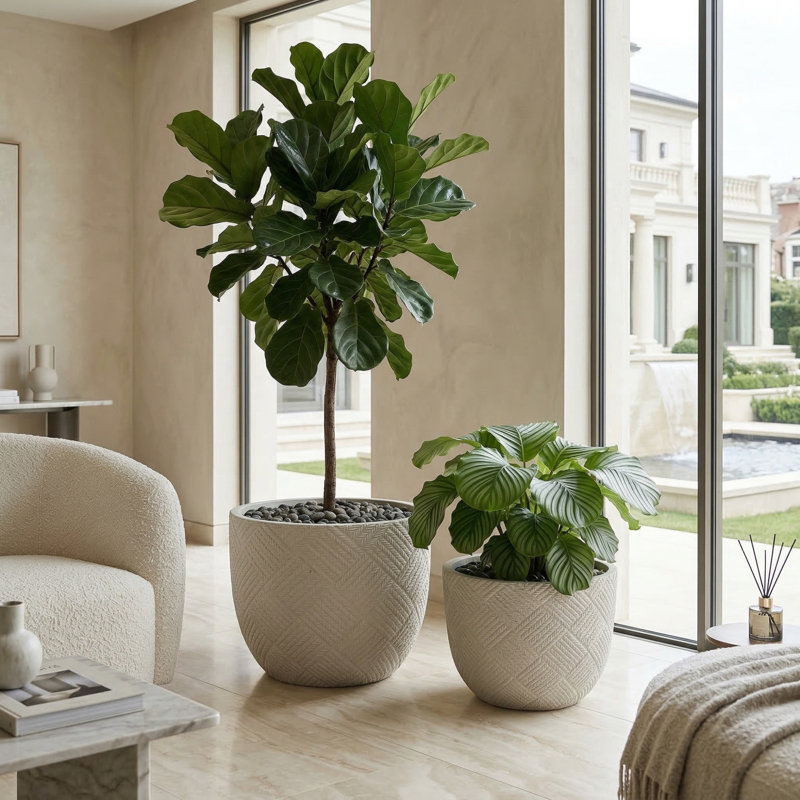 Ensemble de 2 grandes jardinières Mgo, style rustique moderne fait à la main pour la maison
