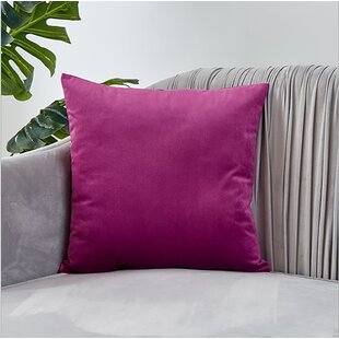 https://assets.wfcdn.com/im/99408129/resize-h310-w310%5Ecompr-r85/1246/124658172/kody-throw-pillow-set-of-2.jpg