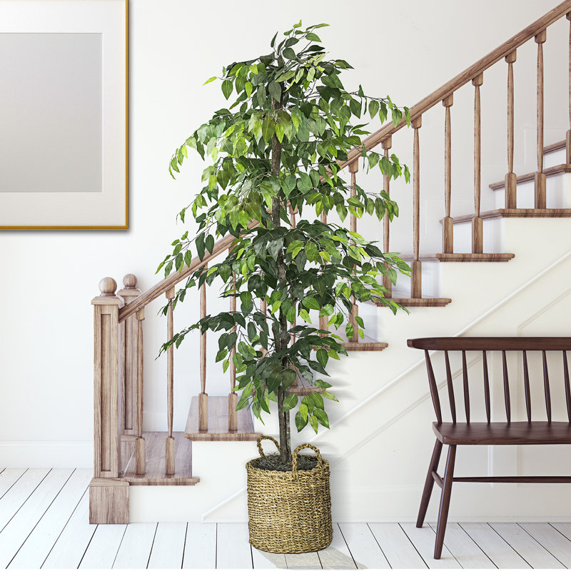 72" Artificial Ficus Tree in Basket