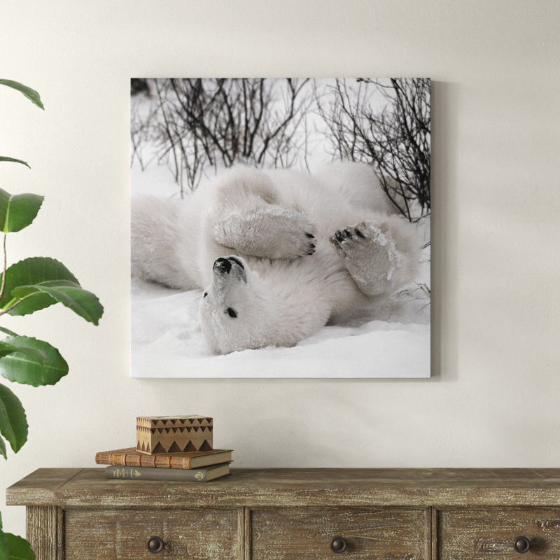 «Hudson Bay Bear», photographie, H 32 po x l 32 po x P 1,5 po, Toile tendue