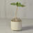 Ceramic Footed Pot Planter-1386631251-1386631249