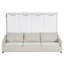 Ensemble de lit escamotable Hideaway avec canapé, tablettes de rangement intégrées et éclairage DEL-116501868