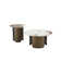 Jocques 2-Piece Modern Coffee Table and End Table Set in Gold