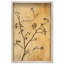 Oliver Gal Nature's Grace Floral & Botanical - Luxury Shadowbox Framed Wall Art-2004561048-2004561052