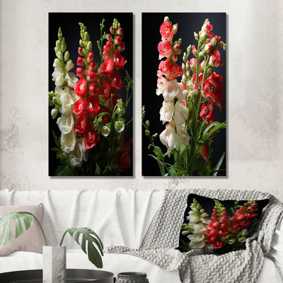 Snapdragons Serenade I - Snapdragons Wall Decor Set Of 2