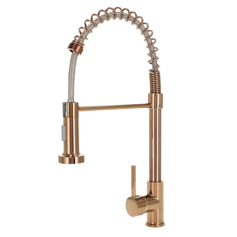 Belfry Kitchen Kitchen Faucet, Brass
